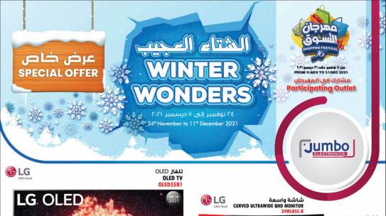 Winter Wonders